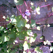 image063.jpg