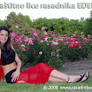 jovana-sargic-66a.jpg