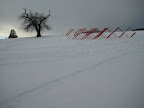 IMG_4817.JPG