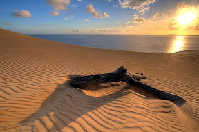 desert.JPG