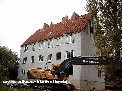 Schleswig Husumer Baum