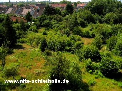 Neubaugebiet Kattenhunder Weg