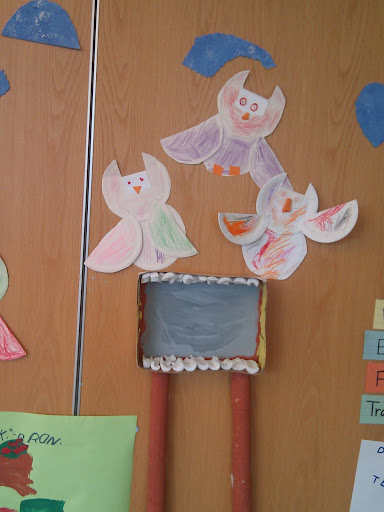 Owls and Owl Boxes