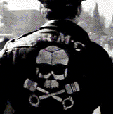 [thewildone[10].gif]