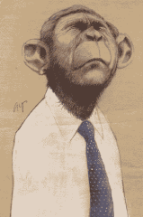 bush-donkey bush-donkey