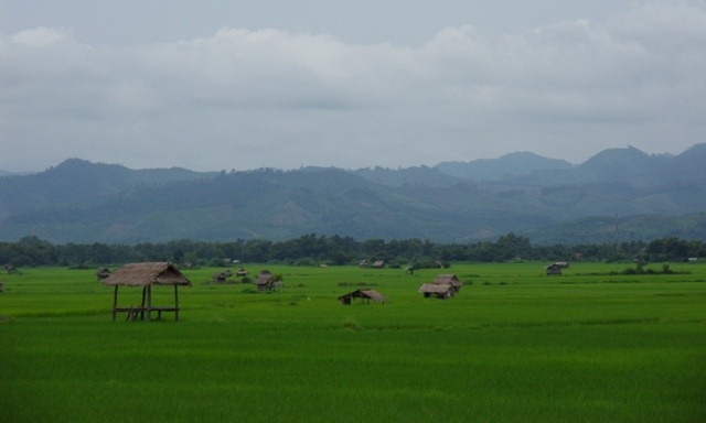 [2 scenery[3].jpg]