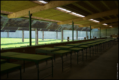 Foto: 50 Meter Kleinkaliberstände