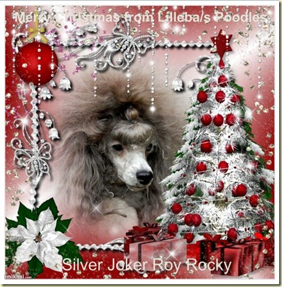 rocky-jul rocky-jul