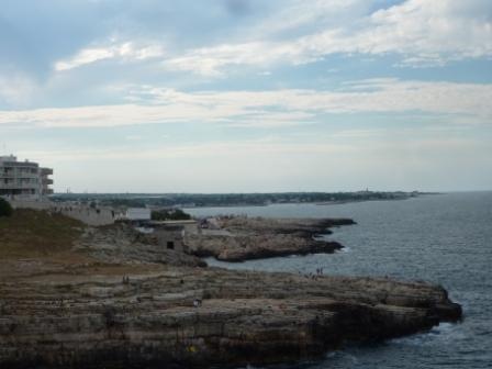 [P1010456[1].jpg]