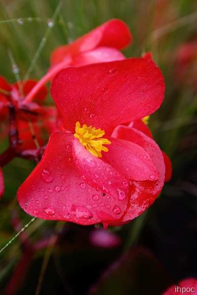 IMG_5654 IMG_5654