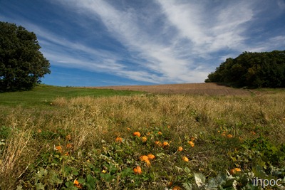 IMG_3491 IMG_3491