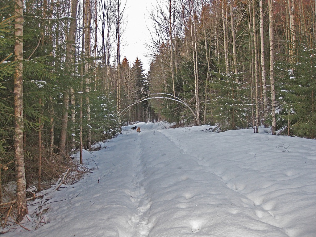 [Endelig fredags-tur igjen_110211_3519[5].jpg]