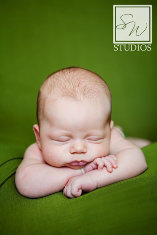 [IMG_5113 web.jpg]