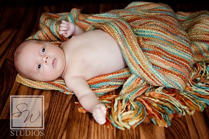 IMG_4904 web