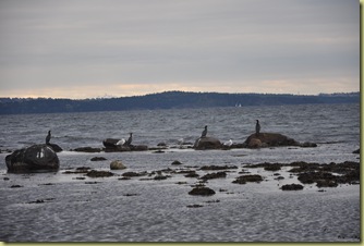 DSC_0292 DSC_0292