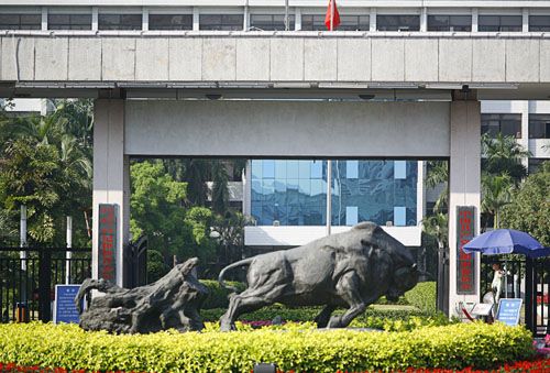 白小刺