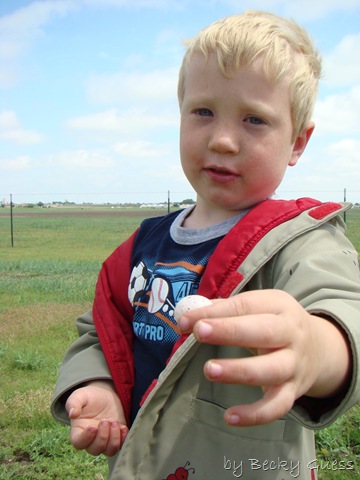 [05-18-10 bird egg found 04[3].jpg]