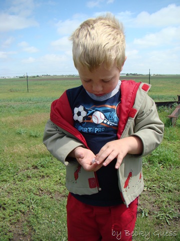 [05-18-10 bird egg found 03[3].jpg]