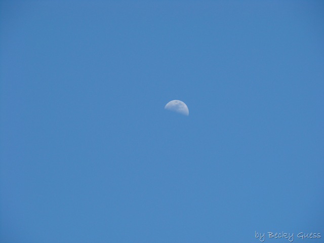 [05-20-10 moon 1[2].jpg]