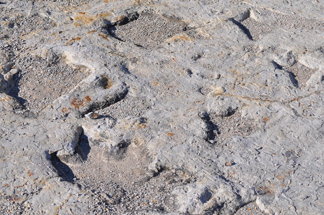 [12-28-10 trip to Clayton Lake dinosaur prints 36[2].jpg]