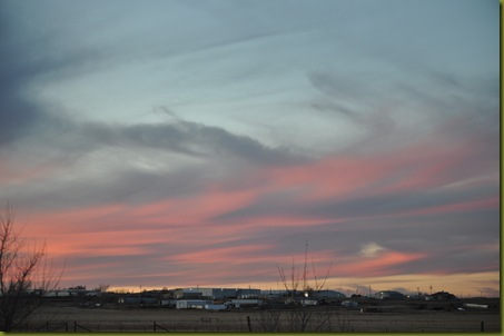 02-15-11 sky and geese 38