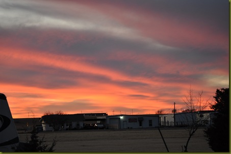 02-15-11 sky and geese 43