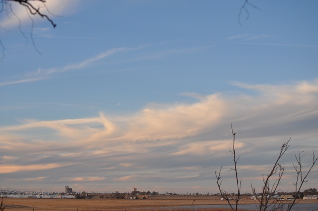 [02-15-11 sky and geese 28[2].jpg]