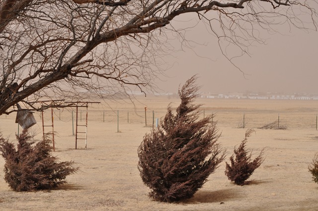 [02-27-10 Dirty wind 01[2].jpg]