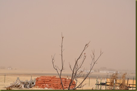 02-27-10 Dirty wind 07