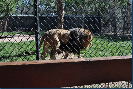 04-28-11 Zoo 037