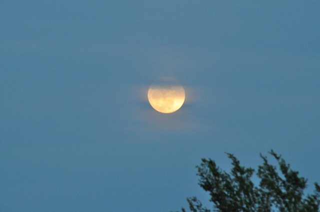 [05-16-11 moon 07[2].jpg]