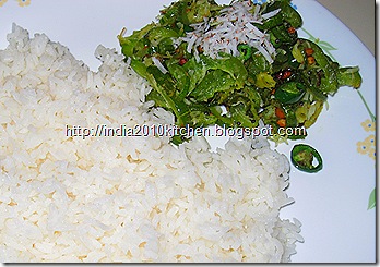SNAKEGUARD WITH COCONUT