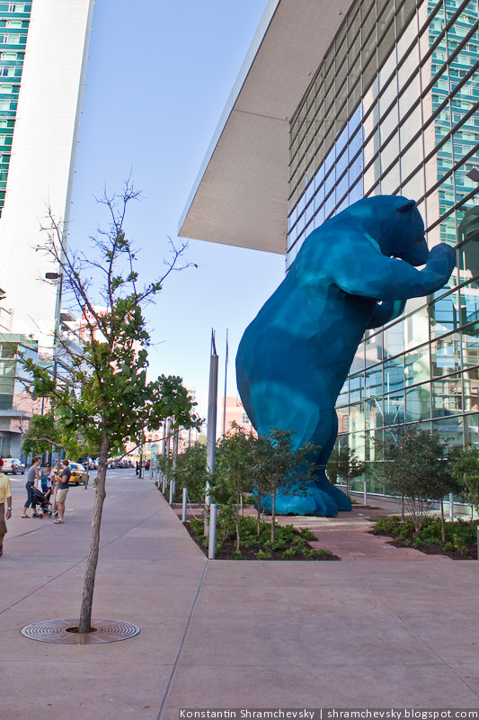 США Америка Колорадо Денвер Синий Голубой Медведь USA America Colorado Denver Blue Bear