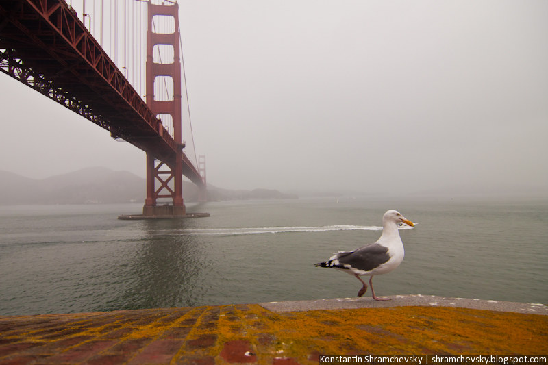 USA California San Francisco Golden Gate Bridge США Калифорния Сан Франциско Голден Гейт Бридж Мост Золотые Ворота