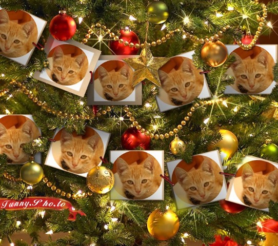 [Funny Pho-to 9[2].jpg]