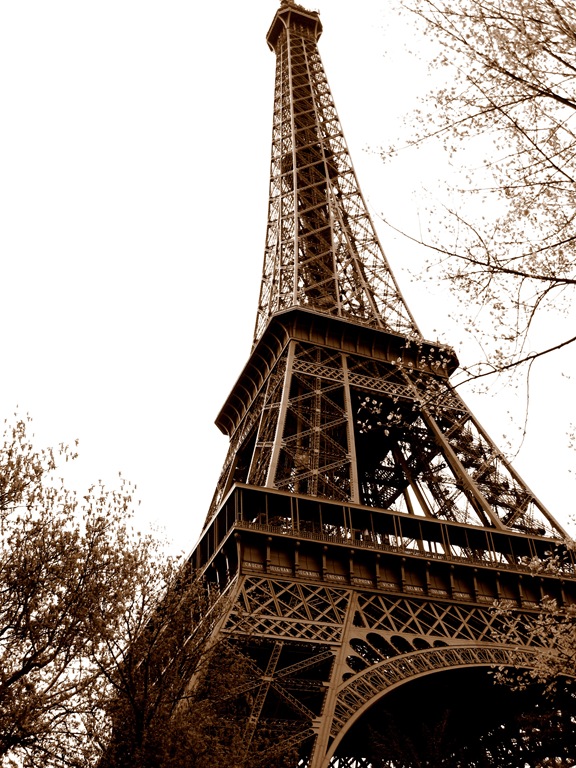 [Eiffel Tower 9[5].jpg]
