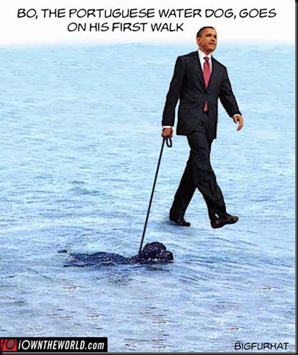 bo walk