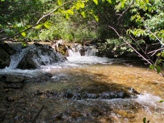 [blog_July_1_2010_1[2][4].jpg]