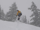 Spring Boarding