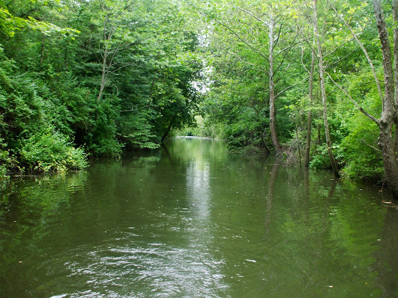 DSCF6506.JPG