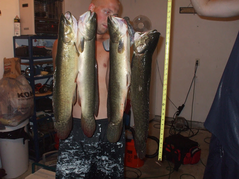 DSCF6883.JPG