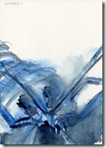 Flußkrebs - (c) Naseen Kiliani Flußkrebs - (c) Naseen Kiliani