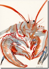 20101016 Morgenhummer Aquarell (c) Naseen Kiliani 20101016 Morgenhummer Aquarell (c) Naseen Kiliani