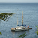 die Tartaruga vor dem Piton