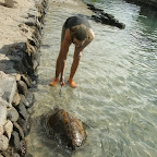 Schildkrötenaufzuchtstation