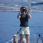 Ausschau halten nach Walen