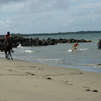 Horse Boarding. So was muss Silvia unbedingt ausprobieren. Ist ganz offensichtlich Fun!