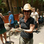 In der Krokodylus Park & Zoo haben wir uns schlau gemacht.