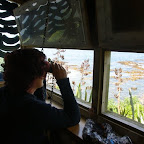 Wo sind wohl die Pinguine geblieben?