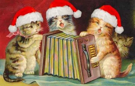 [choir cats[2].jpg]